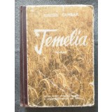 Eusebiu Camilar - Temelia (ilustrații: Marcela Cordescu; cartonată)