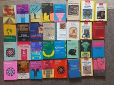 Carti psihologie Kernberg, Holdevici, Enăchescu, Grof, Goffman, Schoenewolf, Dafinoiu, Ekman, Susan Howard, Winnicott, Robertiello, Adler, Leigh, etc.