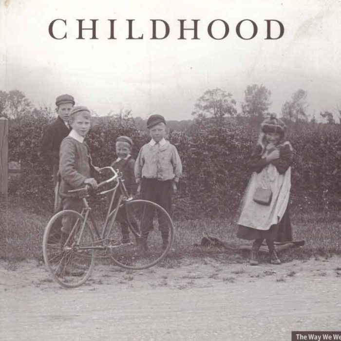 - Childhood - 132100