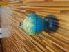 Pusculita tip glob pamantesc