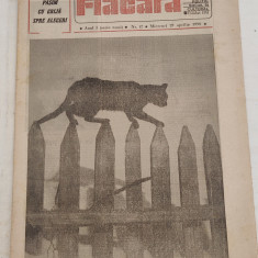 Ziarul FLACĂRA (25 aprilie 1990) Anul 1 (serie nouă) nr. 17