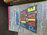 Piața cu paiate vintage