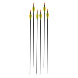 Sageti fibra de sticla inSPORTline Petterson 28&quot; - 6 buc. FitLine Training
