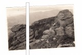 CP Baia Mare - Peisaj, dantelata, circulata 1944, stare foarte buna