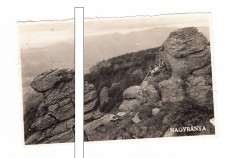 CP Baia Mare - Peisaj, dantelata, circulata 1944, stare foarte buna