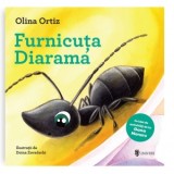Furnicuta Diarama - Olina Ortiz
