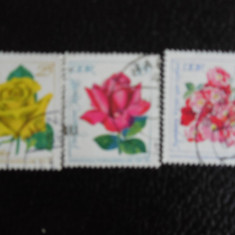 Serie timbre flora flori plante Germania DDR stampilate