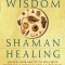 Shaman Wisdom, Shaman Healing: Deepen Your Ability to Heal with Visionary and Spiritual Tools and Practices