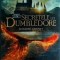 J. K. Rowling, Steve Kloves - Secretele lui Dumbledore