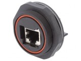 Soclu RJ45 Buccaneer Ethernet 8 pini aurit
