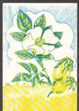 CPIB 20187 CARTE POSTALA - FELICITARE - BOTANICA &#039;93, MACES