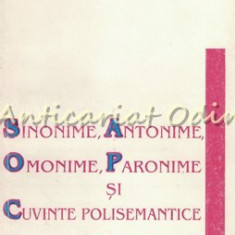 Sinonime, Antonime, Omonime, Paronime Si Cuvinte Polisemantice Cu O Culegere