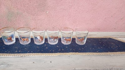 6/Pahare /Tema Vanatoare . foto