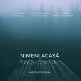 Nimeni Acasa. Missing Home/Mircea Struteanu, Vellant