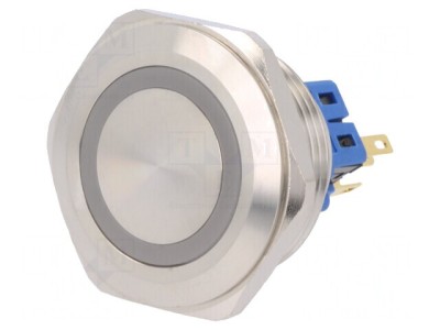 Comutator Anti-Vandalism IP65 SPDT 24V foto