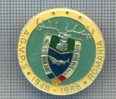 AX 158 INSIGNA VANATOARE SI PESCUIT SPORTIV PERIOADA RSR -A.G.V.P.S -1948-1988 foto