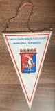 D9 153 - fanion - sport - Consiliul pentru educatie fizica si sport - Municipiul Bucuresti
