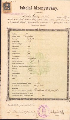 HST A209 Certificat școlar 1904 Gimnaziul Timișoara foto