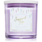 DW Home Winter Wonderland Sugared Fig lum&acirc;nare parfumată 374 g