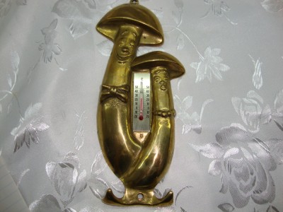 CUIER / CIUPERCUTE DIN ALAMA foto