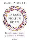 Ca două picături de apă: Puterile, perversiunile și potențialul eredității - Paperback - Carl Zimmer - Litera