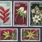 Comore 1969 flori MI 97-101 MNH