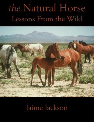 The Natural Horse: Lessons From the Wild foto