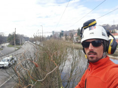 Toaletare mentenanta si doborare arbori in toata tara foto