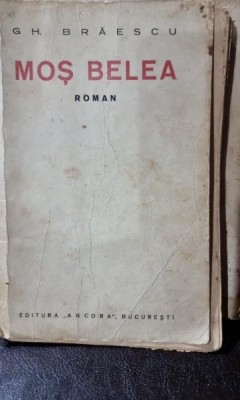 Mos Belea - Gh. Braescu foto