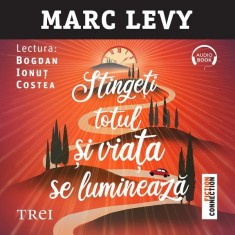 Stingeți totul și viața se luminează - Audiobook - Marc L&eacute;vy