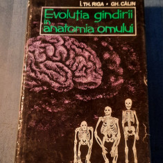 Evolutia gandirii in anatomia omului I. Th. Riga Gh. Calin