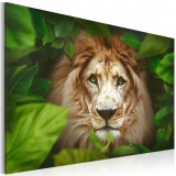 Cumpara ieftin Tablou - Eyes of the jungle 90x60 cm