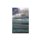Hurricane Baby: Stories