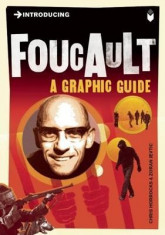 Introducing Foucault foto