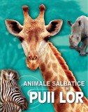 Animale salbatice si puii lor - Kreativ