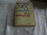 FII SI INDRAGOSTITI-D.H.LAWRENCE 1971, Univers