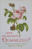 UNDE SALASLUIESTE DUMNEZEU? POVESTIRI PENTRU COPII, PARINTI SI BUNICI-L.S. DESARTOVICI-251332