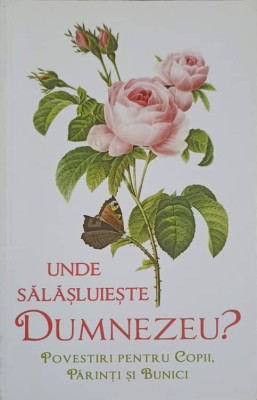 UNDE SALASLUIESTE DUMNEZEU? POVESTIRI PENTRU COPII, PARINTI SI BUNICI-L.S. DESARTOVICI-251332 foto