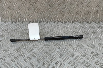Amortizor capota st&amp;acirc;nga față BMW iX1 U11 BEV 2023 OEM: 9883421 | 28088819 foto