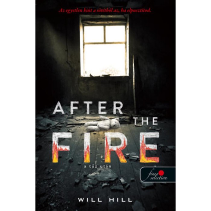 After the Fire - A tűz ut&aacute;n - Will Hill
