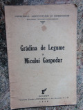 GRĂDINA DE LEGUME A MICULUI GOSPODAR 1940