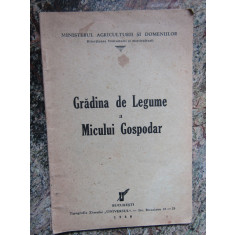 GRĂDINA DE LEGUME A MICULUI GOSPODAR 1940