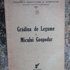 GRĂDINA DE LEGUME A MICULUI GOSPODAR 1940