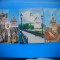 HOPCT LOT 3663 - 3 CARTI POSTALE-SIGHISOARA - JUD MURES-CIRCULATE