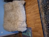 2 cergi albe lana Merinos fir langa fir