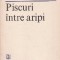 Piscuri intre aripi