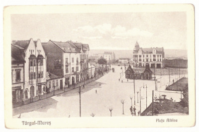 5262 - TARGU-MURES, Market, Romania - old postcard - unused foto