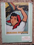 REVISTA ARTA PLASTICA NR.6 /1958 ANUL 5