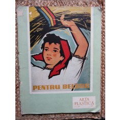 REVISTA ARTA PLASTICA NR.6 /1958 ANUL 5