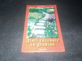 ELENA SELARU - FLORI CULTIVATE IN GRADINA